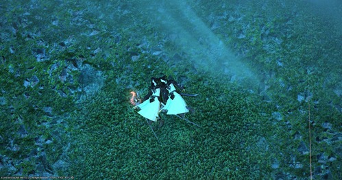 ffxiv_20130923_010142