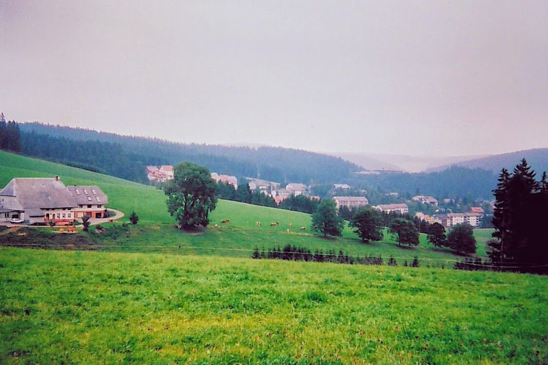 ドイツ シュバルツバルトを歩く ６ 優嵐世界探検