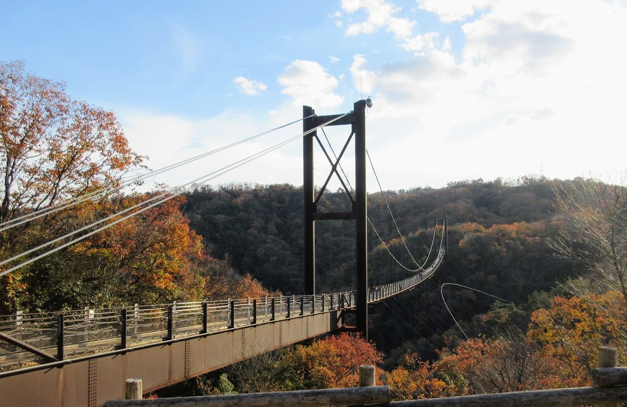 師走の生駒山系を歩く むろいけ園地からほしだ園地 優嵐世界探検