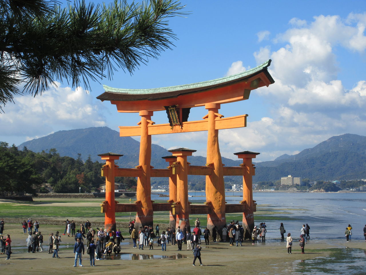 鳥居まで秋の干潟を歩きけり 優嵐歳時記