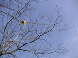 PICT0744