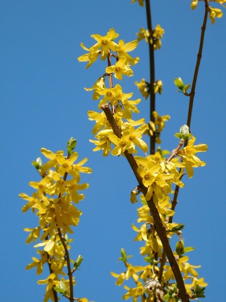DSCN3835