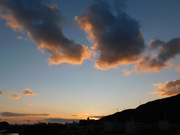 DSCN3572