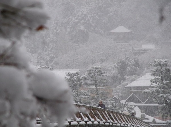 129380313082416131728_R1336420_1