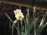 090204