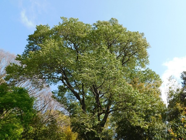 DSCN1782