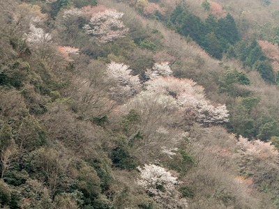 P3310970