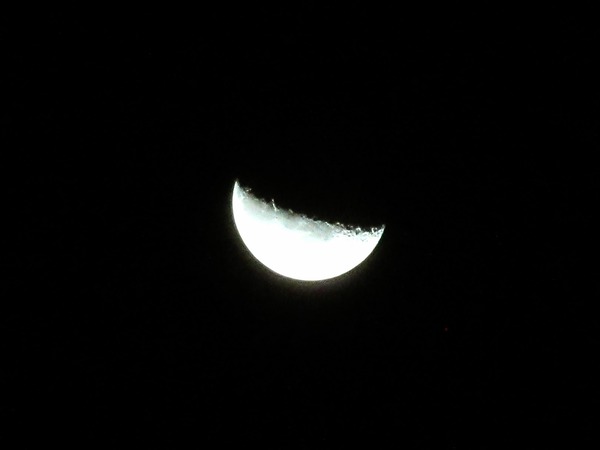 IMG_7913