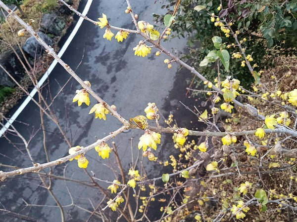 IMG_20231231_154506 (1)