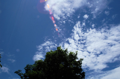 816433198_5dcc1d1c2c_b