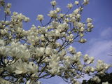 080402