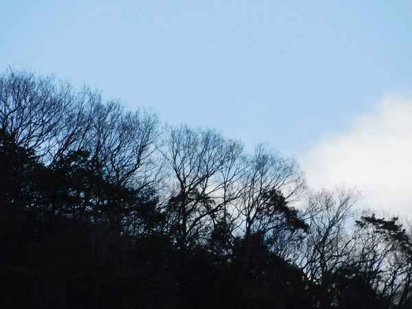 DSCN5581