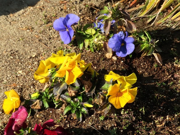 IMG_2005