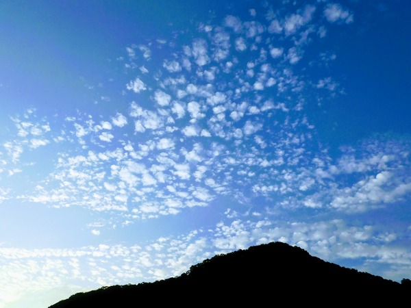 DSCN2678