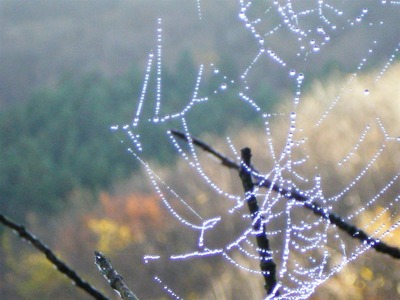 a0800_000415_m