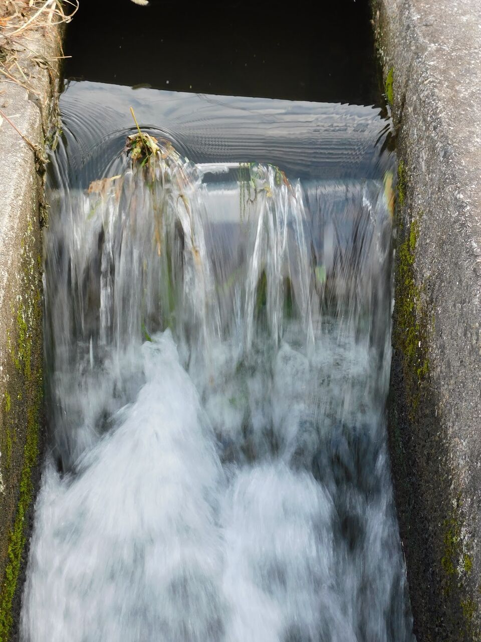 集落を囲み高らか落し水 優嵐歳時記