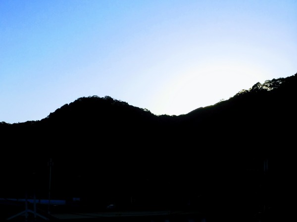 DSCN5253