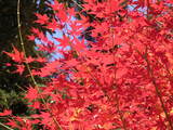 PICT0707