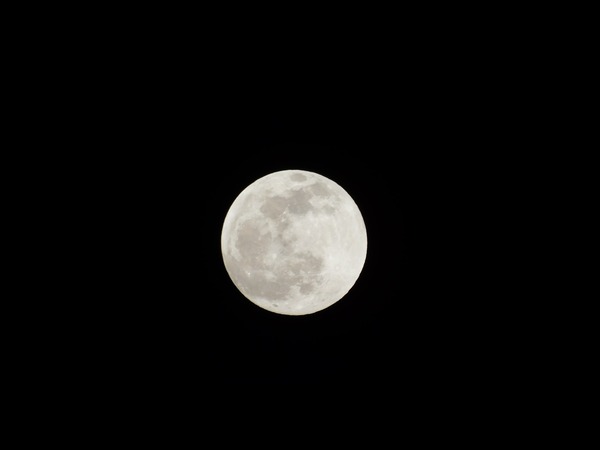 DSCN1137