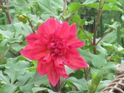 IMG_5130