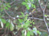 IMG_0826
