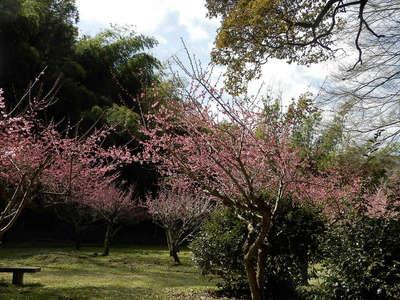 P3210859