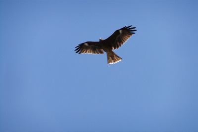 6221682446_17791a654e_b