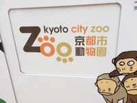 京都市動物園に行きました！
