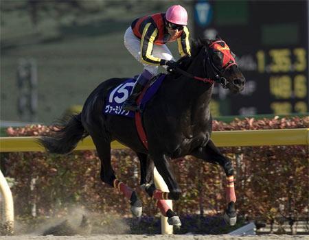 カミカゼ〜10年目もまだまだ!!〜
ヴァーミリアン!!今年初のG1勝利。
コメント