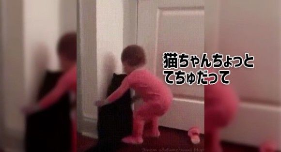 猫と子供のドリームチーム結成！ニャイスコンビネーションでドアを開けることに成功！