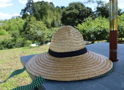 【検証画像】49歳になった裕木奈江がコチラｗｗｗ