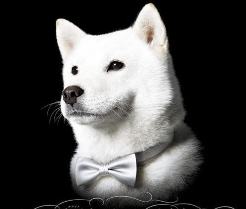 【この動画スゴイ!】 YouTube 無料おもしろ動画厳選サイト ...