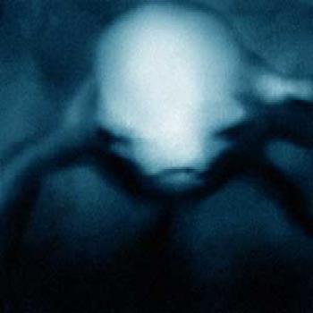 南極のuma ニンゲン ヒトガタ 動画 画像集 Youtube動画 A