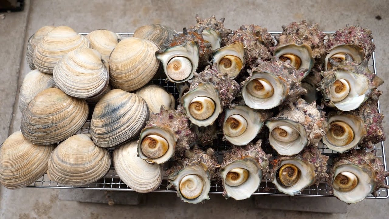 きまぐれクック 大量の サザエ と 大アサリ で悪魔的な料理作ってしまいました 悪用厳禁 Youtuberコメ速報