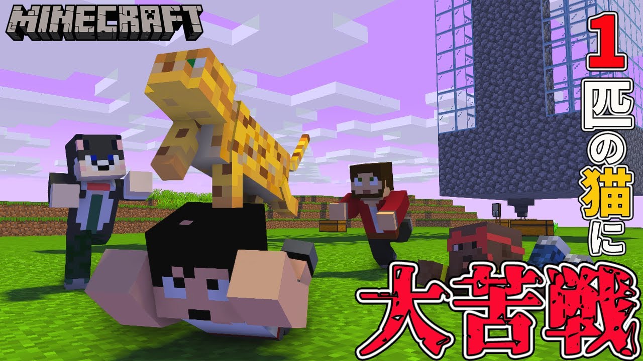 ぽこにゃん カズぽこくらシーズン3 1匹の猫で大苦戦する4人衆 Part27 後編 Youtuberコメ速報