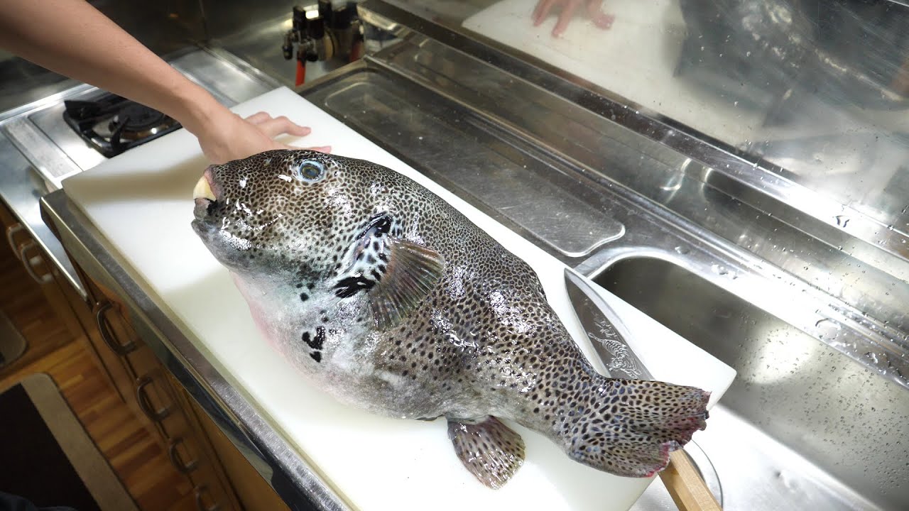 きまぐれクック 食べたらオワリの巨大猛毒フグの解体 こんな身体の構造が複雑なフグ初めて見ました 衝撃 Youtuberコメ速報