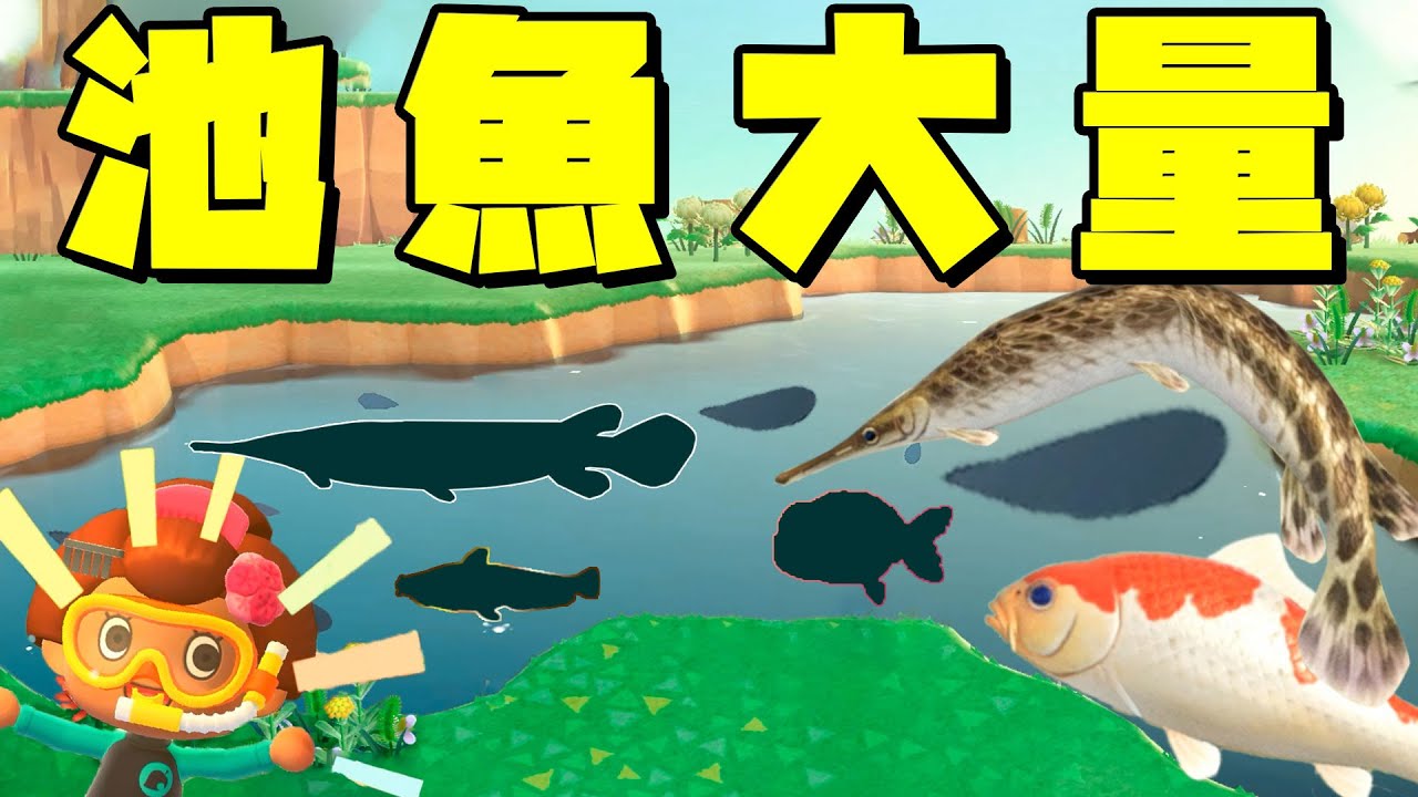 カズチャンネル カズ森 離島で池魚大量に釣ってお金儲けしようとしたら あつまれどうぶつの森 Part112 Youtuberコメ速報 カズチャンネル カズ森 離島で池魚大量に釣ってお金儲けしようとしたら あつまれどうぶつの森 Part112 Youtuberコメ速報
