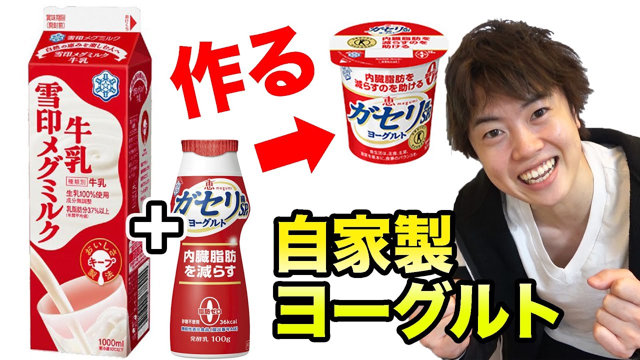 マスオ 検証 ガセリ菌を使って 自家製ヨーグルトを作ってみるぞ 内臓脂肪よ さようなら Youtuberコメ速報