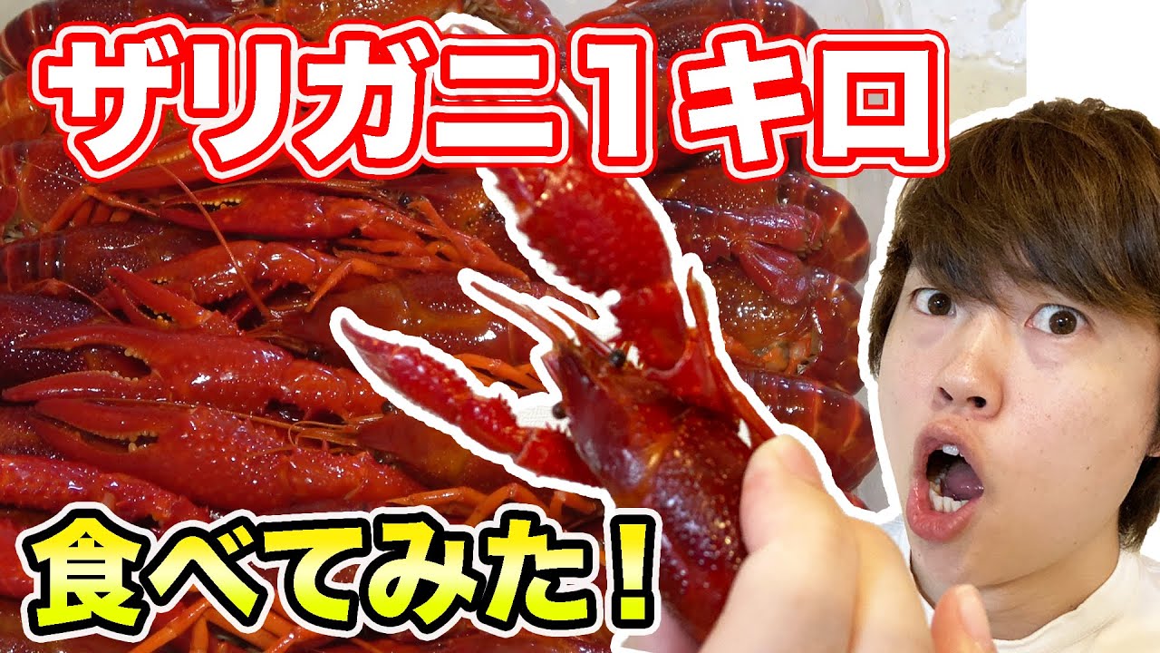 マスオ ザリガニ１キロ食べてみた Youtuberコメ速報