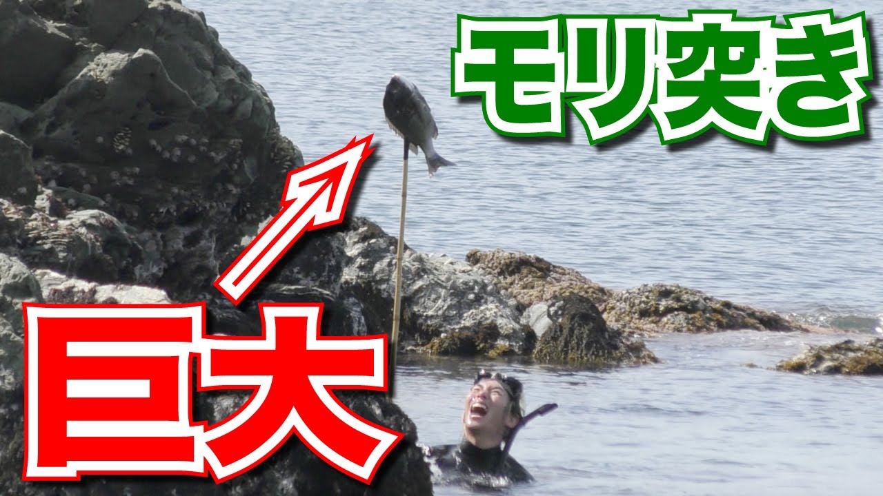 ジョーブログ 無人島でモリで突いた魚でサバイバル海鮮鍋をつくって食う Youtuberコメ速報
