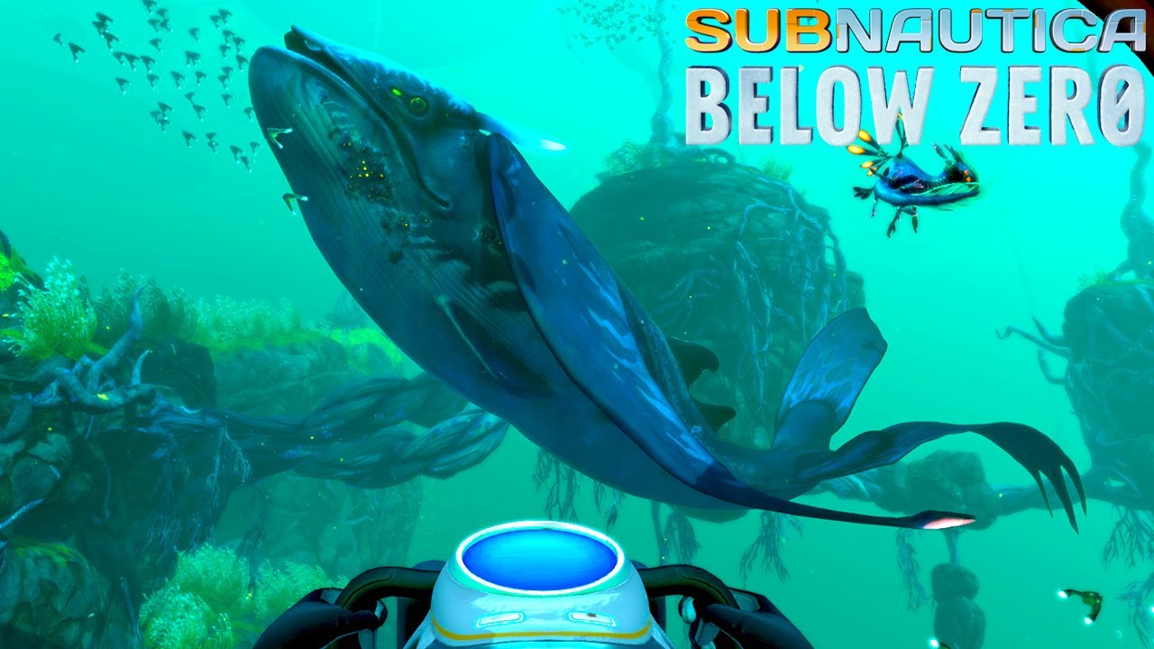Subnautica Below Zero ニッケル Subnautica Below Zero ニッケル