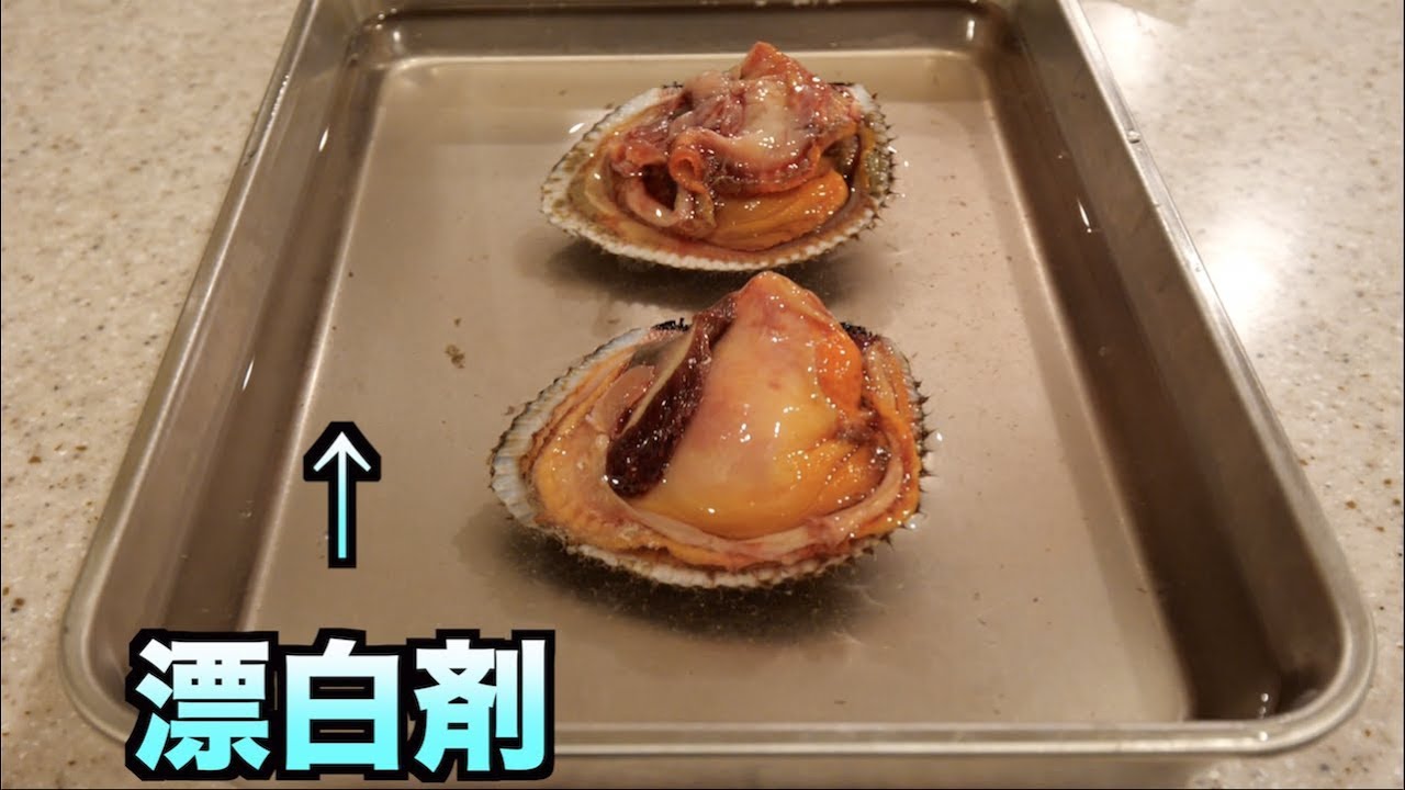 トミック 人間と同じ血を持つ赤貝を漂白剤に漬け込むと驚きの化学変化が Youtuberコメ速報 トミック 人間と同じ血を持つ赤貝を漂白剤に漬け込むと驚きの化学変化が Youtuberコメ速報