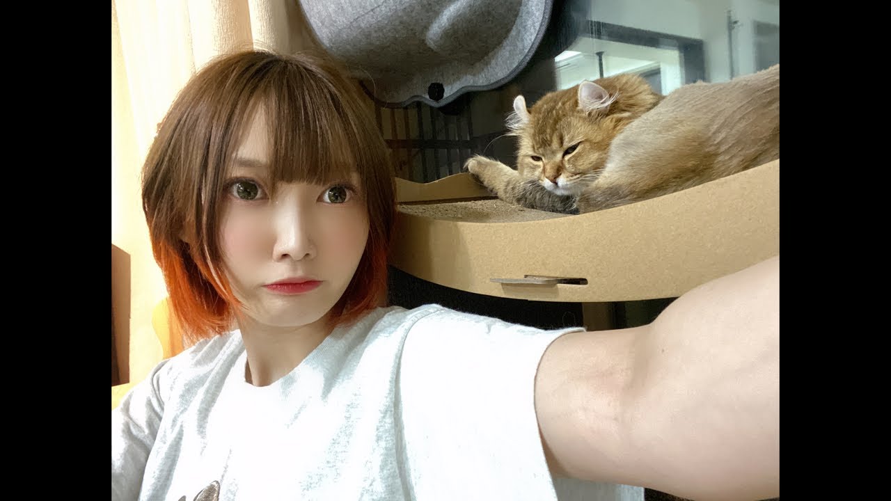 木下ゆうか 寝とった Youtuberコメ速報