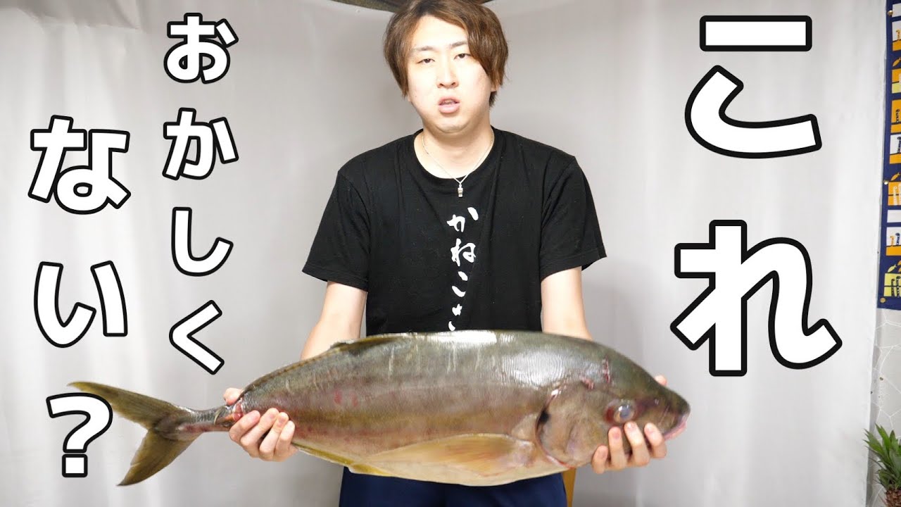 きまぐれクック ありえないくらいに肥大化したアジ このサイズはきまぐれクックも初めて見ました Youtuberコメ速報