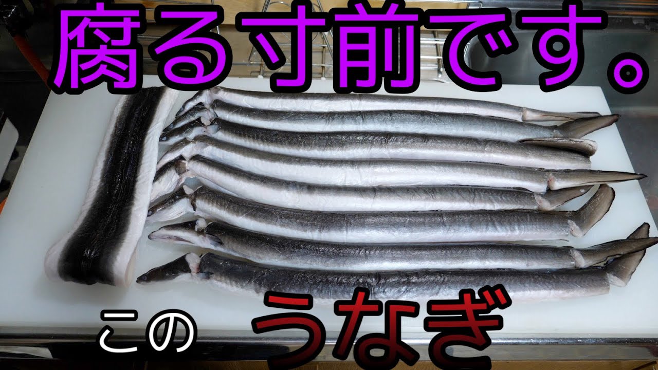 きまぐれクック 10日間冷蔵庫で放置されたうなぎが 超熟成 をしていた とんでもない化け物ウナギに進化していた Youtuberコメ速報
