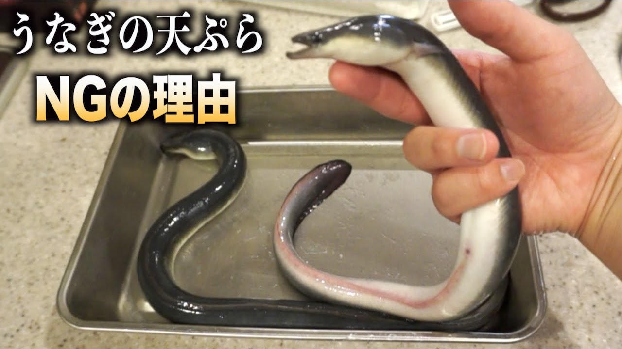 トミック なぜ うなぎの天ぷら がないのかこの動画を見れば一発でわかります Youtuberコメ速報