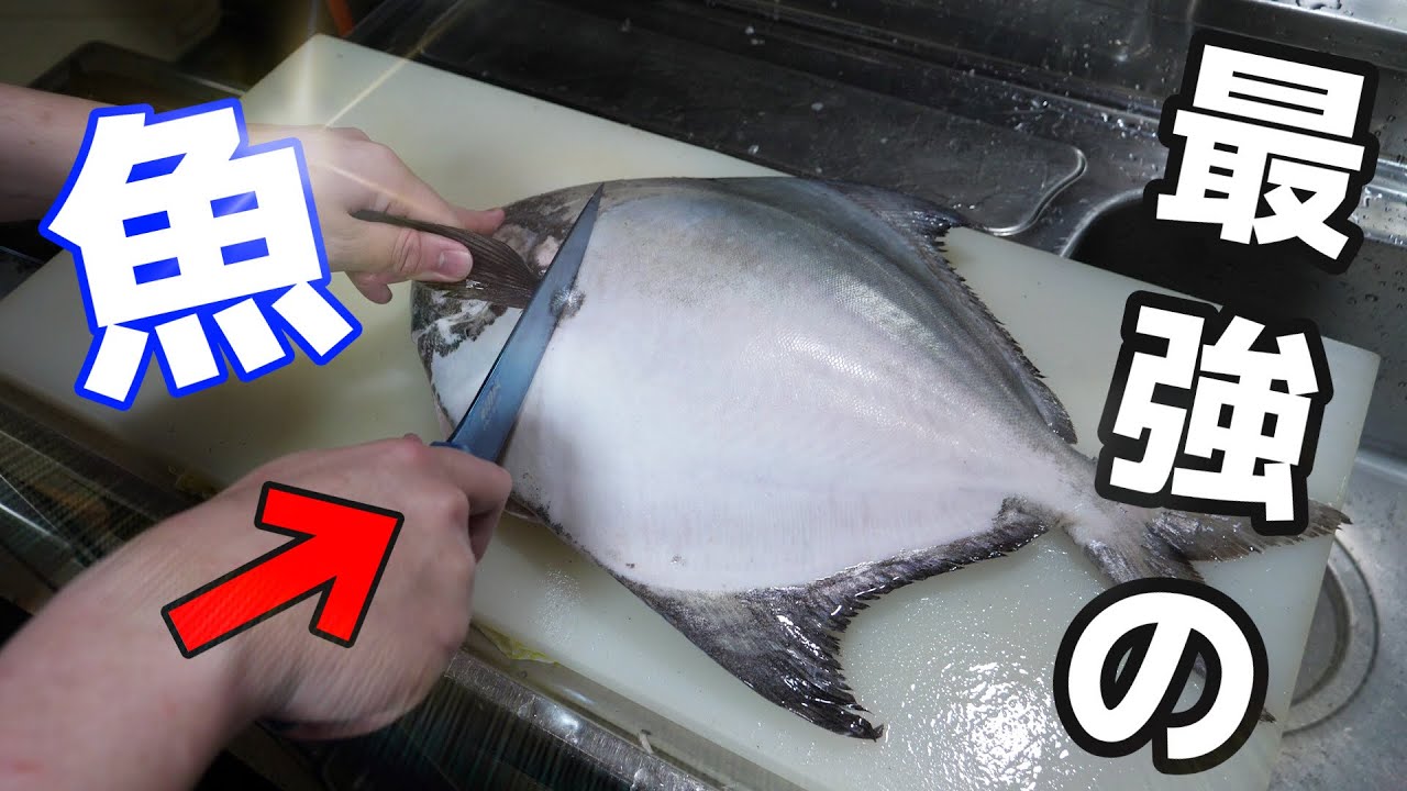 きまぐれクック 捌く難易度 S 謎すぎる魚 マナガツオ が美味すぎるwww Youtuberコメ速報