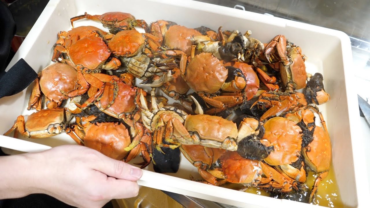 きまぐれクック ウェステルマン肺吸虫 寄生虫が潜むカニでフルコース作ってみた Youtuberコメ速報 きまぐれクック ウェステルマン肺吸虫 寄生虫が潜むカニでフルコース作ってみた Youtuberコメ速報