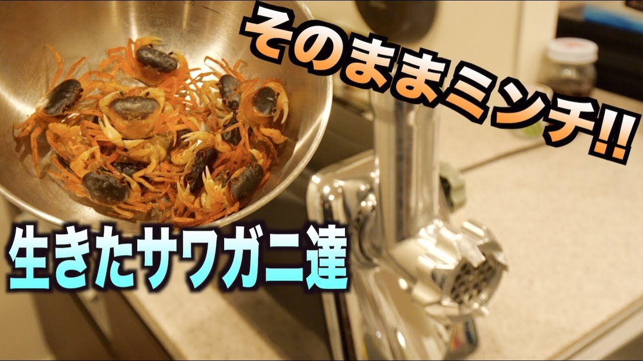 トミック 危険 生きた大量のサワガニをそのままミンチして食べる ガン漬け という料理が衝撃すぎる件 Youtuberコメ速報 トミック 危険 生きた大量のサワガニをそのままミンチして食べる ガン漬け という料理が衝撃すぎる件 Youtuberコメ速報