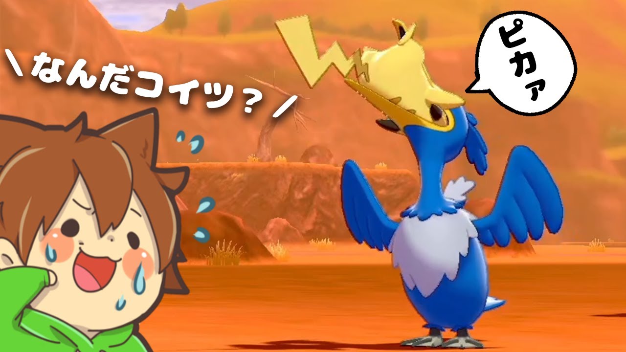 ぽこにゃん ポケモン剣盾を縛りプレイ 9 ピカチュウを丸呑みしようとするポケモンがヤバ過ぎたｗ ゆっくり実況プレイ Youtuberコメ速報